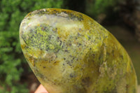 Polished Green Opal Standing Free Forms x 4 From Antsirabe, Madagascar