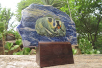 Hand Made Vervet Monkey Family Decoupage on Sodalite Stone Slabs - sold per item - From Namibia