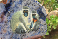 Hand Made Vervet Monkey Family Decoupage on Sodalite Stone Slabs - sold per item - From Namibia