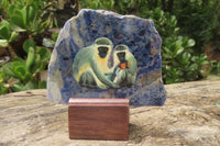 Hand Made Vervet Monkey Family Decoupage on Sodalite Stone Slabs - sold per item - From Namibia