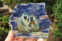 Hand Made Vervet Monkey Family Decoupage on Sodalite Stone Slabs - sold per item - From Namibia