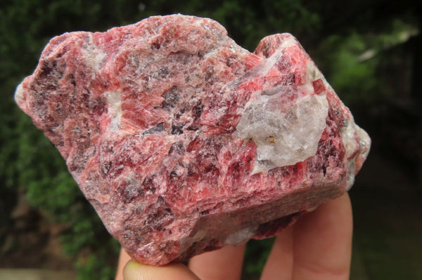 Natural Rhodonite Cobbed Specimens x 6 From Zimbabwe