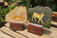 Hand Made Cheetah Decoupage Stone Slabs x 7 From Southern Africa