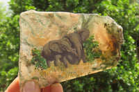 Hand Made Elephant Decoupage Stone Slabs x 6 From Southern Africa