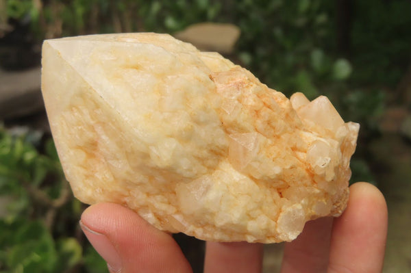 Natural Candle Quartz Clusters x 6 From Madagascar