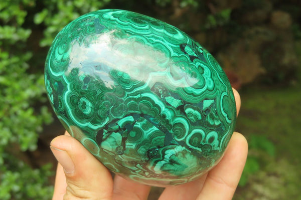 Polished Flower Banded Malachite Gemstone Eggs x 2 From Congo