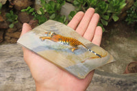 Hand Made Tiger Decoupage on Polychrome Jasper Stone Slabs - sold per item - From Madagascar