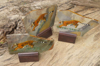 Hand Made Tiger Decoupage on Polychrome Jasper Stone Slabs - sold per item - From Madagascar