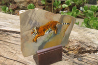 Hand Made Tiger Decoupage on Polychrome Jasper Stone Slabs - sold per item - From Madagascar