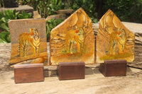 Hand Made Tiger Decoupage on Picture Stone Jasper Stone Slabs - sold per item - From Namibia