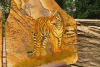 Hand Made Tiger Decoupage on Picture Stone Jasper Stone Slabs - sold per item - From Namibia