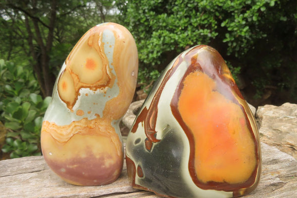 Polished Polychrome Jasper Standing Free Forms x 2 From Madagascar