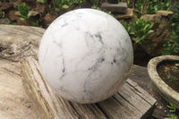 Polished Howlite Sphere x 1 From Zimbabwe