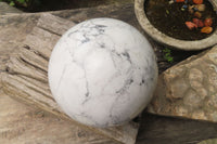 Polished Howlite Sphere x 1 From Zimbabwe