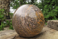 Polished Snakeskin Jasper Sphere x 1 From Australia