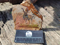 Hand Made Kudu Buck Decoupage on Picture Stone Stone Slabs - sold per item - From Namibia