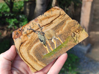 Hand Made Kudu Buck Decoupage on Picture Stone Stone Slabs - sold per item - From Namibia