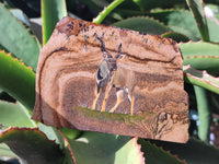 Hand Made Kudu Buck Decoupage on Picture Stone Stone Slabs - sold per item - From Namibia