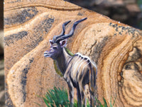 Hand Made Kudu Buck Decoupage on Picture Stone Stone Slabs - sold per item - From Namibia