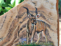 Hand Made Kudu Buck Decoupage on Picture Stone Stone Slabs - sold per item - From Namibia