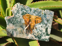 Hand Made Elephant Decoupage on Moss Agate Stone Slabs - Sold Per Item - From Mpumalanga, South Africa