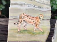 Hand Made Cheetah Decoupage on Butter Jade Stone Slabs - sold per item - From South Africa