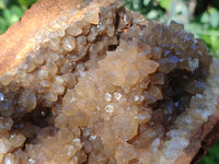 Natural Limonite Quartz Cluster x 1 From Solwezi, Zambia