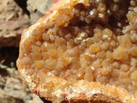 Natural Limonite Quartz Cluster x 1 From Solwezi, Zambia