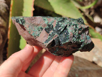 Natural Libethenite Crystals On Dolomite Matrix Specimen x 1 From Shituru, Congo