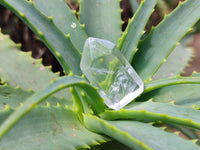 Polished Clear Quartz Jewellery Points x 24 From Madagascar