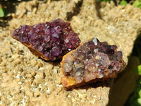 Natural Amethystos Amethyst Clusters x 35 From Kwaggafontein, South Africa