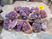 Natural Amethystos Amethyst Clusters x 35 From Kwaggafontein, South Africa