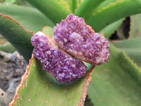 Natural Amethystos Amethyst Clusters x 35 From Kwaggafontein, South Africa