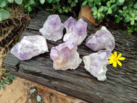 Natural Jacaranda Amethyst Quartz Clusters x 6 from Mumbwa, Zambia