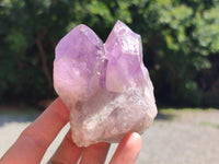 Natural Jacaranda Amethyst Quartz Clusters x 6 from Mumbwa, Zambia