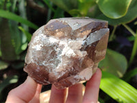 Natural Smokey Quartz Crystal Specimens x 4 From Zomba, Malawi