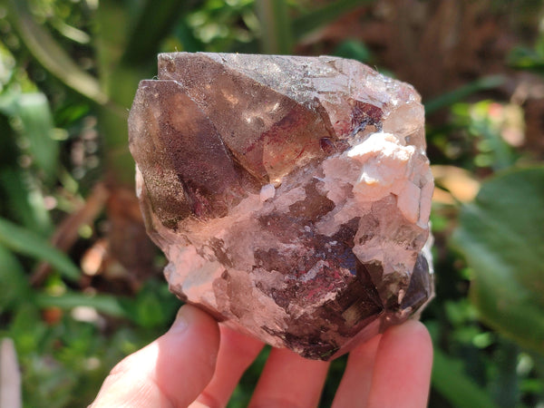 Natural Smokey Quartz Crystal Specimens x 4 From Zomba, Malawi