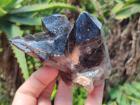 Natural Smokey Quartz Crystal Specimens x 4 From Zomba, Malawi