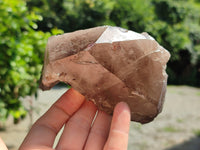 Natural Smokey Quartz Crystal Specimens x 4 From Zomba, Malawi