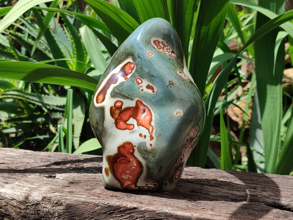 Polished Polychrome Jasper Standing Free Form x 1 From Madagascar