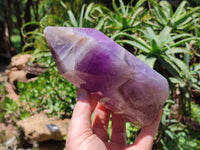 Polished Chevron Amethyst Points x 2 From Madagascar