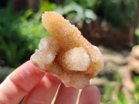 Natural Spirit Quartz Clusters x 35 From Boekenhouthoek, South Africa