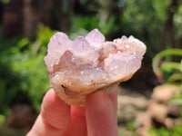 Natural Spirit Quartz Clusters x 35 From Boekenhouthoek, South Africa