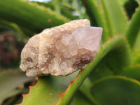 Natural Spirit Quartz Clusters x 35 From Boekenhouthoek, South Africa