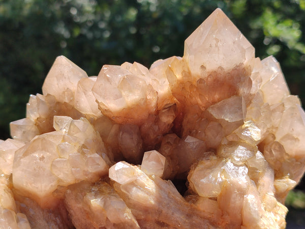 Natural Smokey Phantom Quartz Cluster x 1 From Luena, Congo