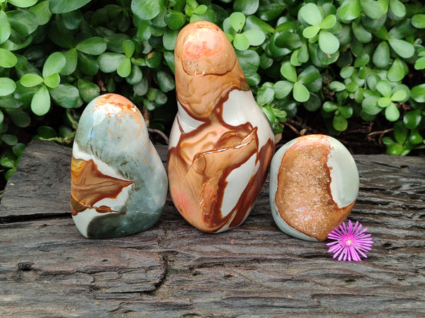 Polished Polychrome Jasper Standing Free Forms x 3 From Mahajanga, Madagascar