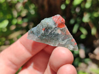 Natural Bloodstone Cobbed Specimens x 3 Kg Lot From Swaziland