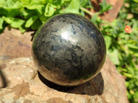 Polished Pharaoh Stone Spheres x 3 From Zimbabwe