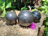 Polished Pharaoh Stone Spheres x 3 From Zimbabwe