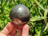 Polished Pharaoh Stone Spheres x 3 From Zimbabwe